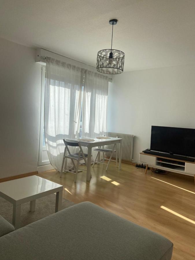 Grand T2 F2 Mulhouse Downtown Free Parking Apartment Luaran gambar